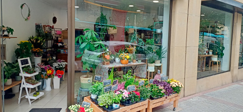 Ramos de flores en Hernani