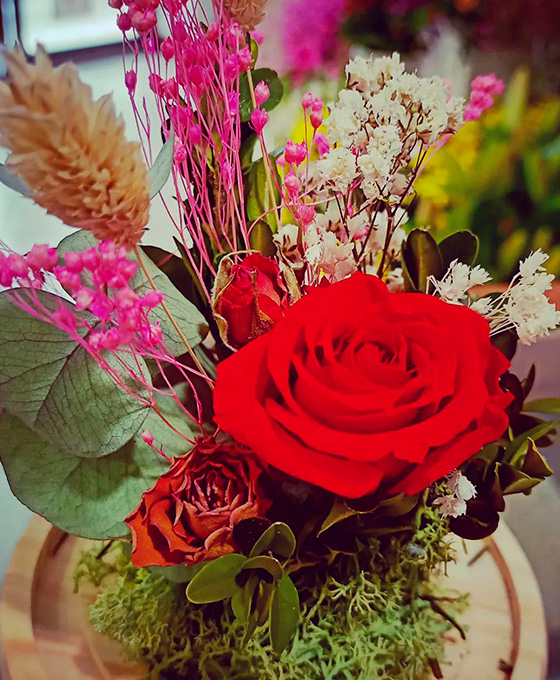 Rosas para regalar en Hernani